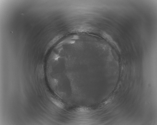 X0000066930250200604071854