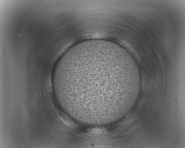 X0000066930251200604071854