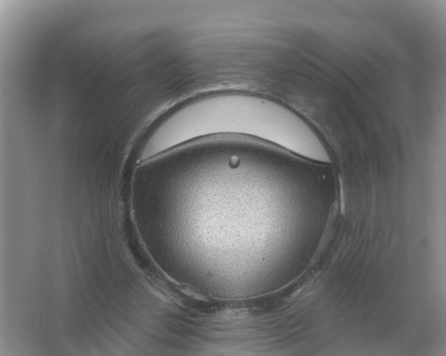 X0000066930252200604071854