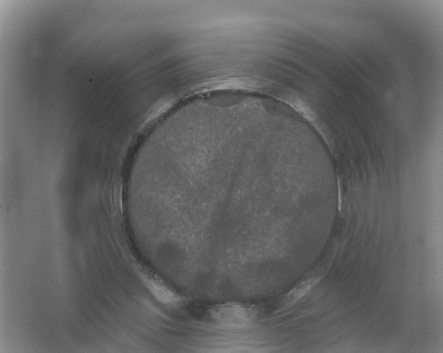 X0000066930253200604071854