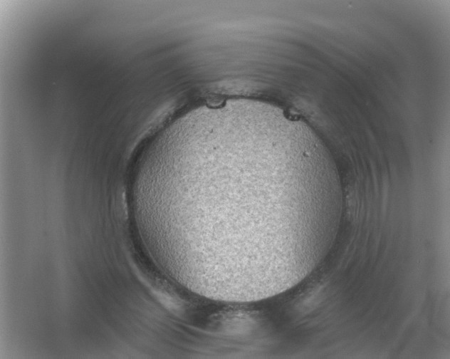 X0000066930254200604071854