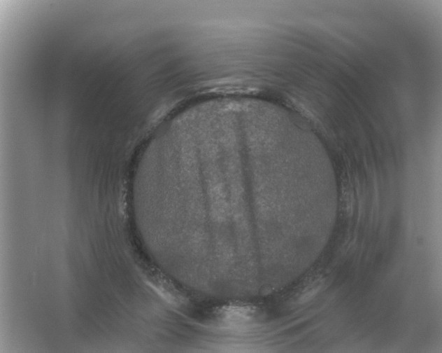 X0000066930255200604071854