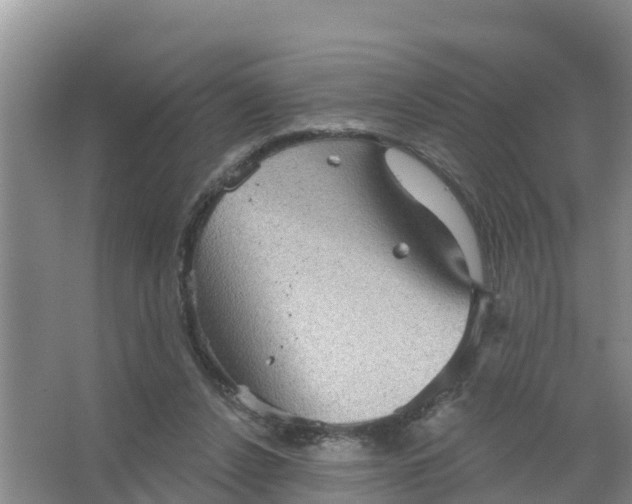 X0000066930256200604071854