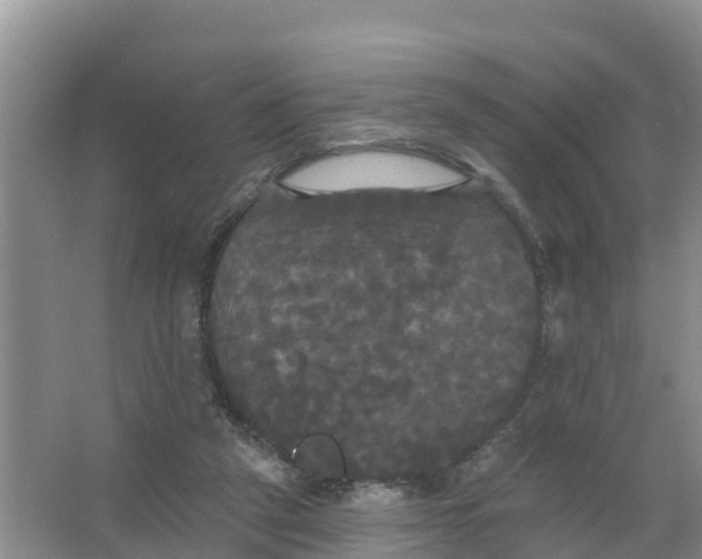 X0000066930257200604071854