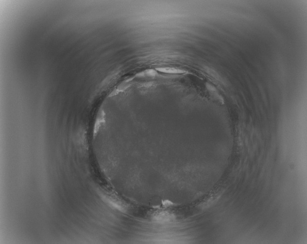 X0000066930258200604071854