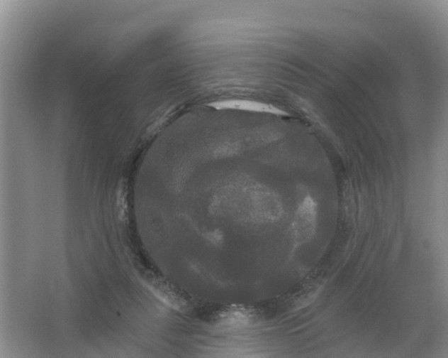 X0000066930259200604071854