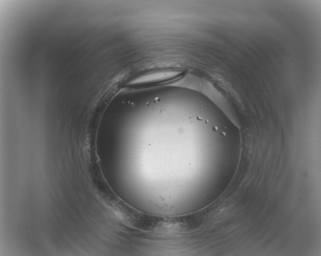 X0000066930260200604071854