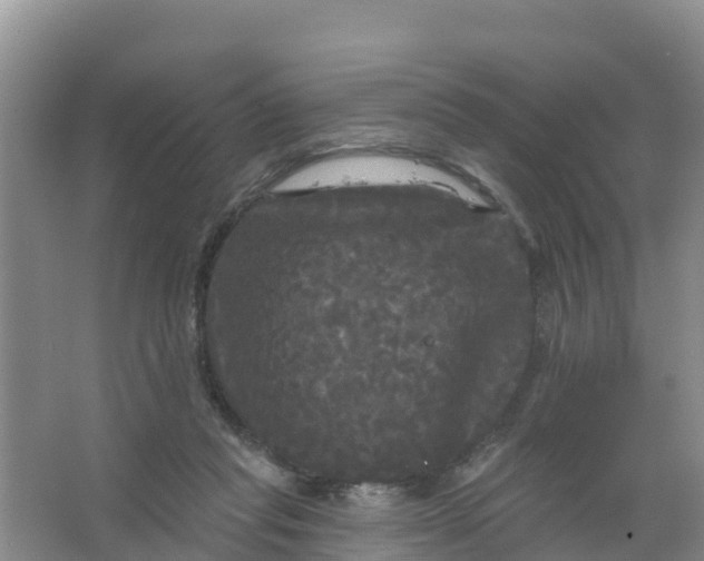 X0000066930261200604071854