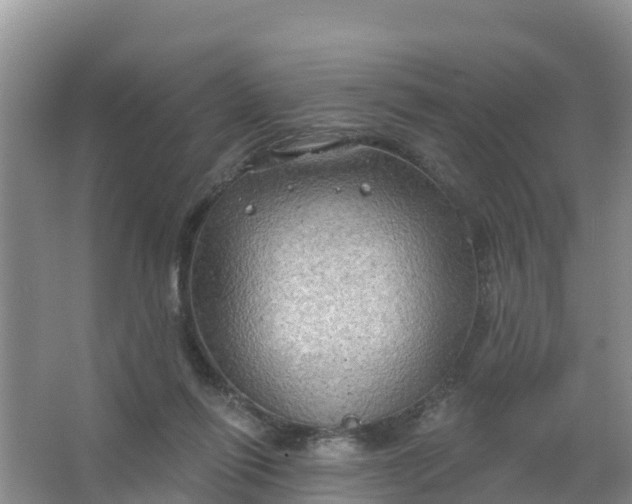 X0000066930262200604071854