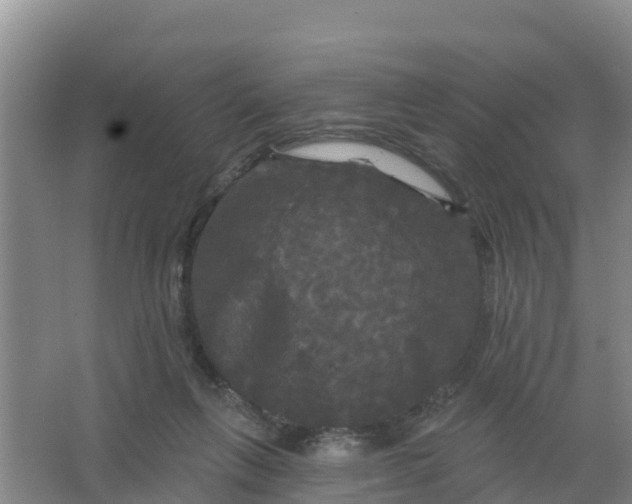 X0000066930263200604071854