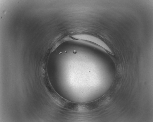 X0000066930264200604071854