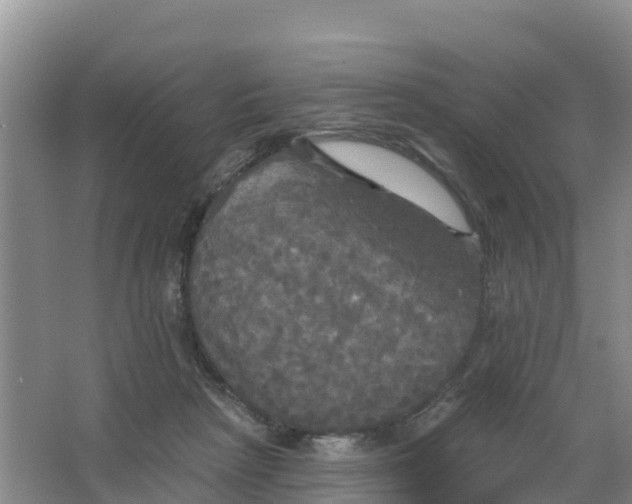 X0000066930265200604071854