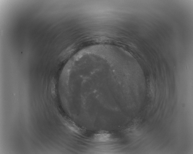 X0000066930266200604071854