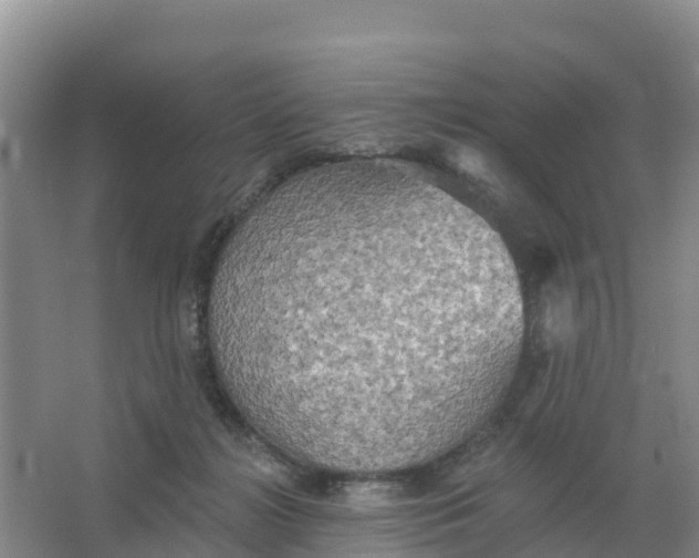 X0000066930268200604071854