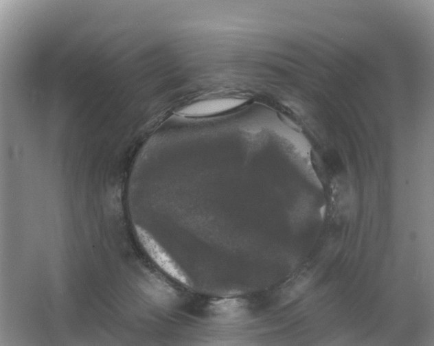 X0000066930269200604071854