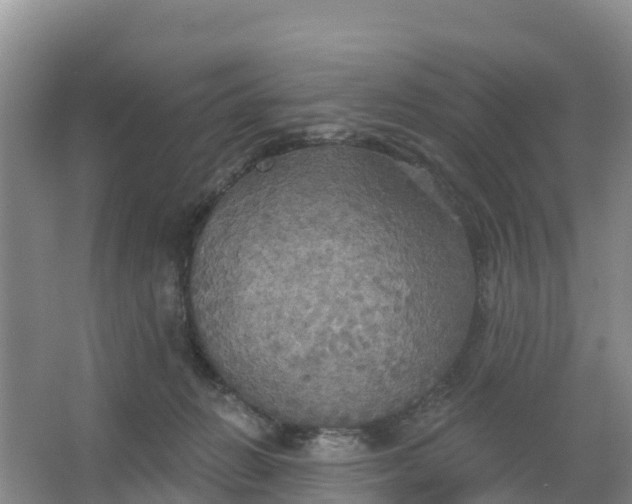 X0000066930270200604071854