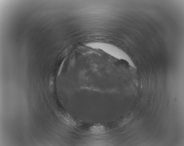 X0000066930271200604071854