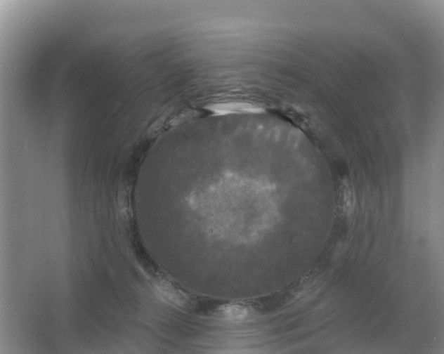 X0000066930272200604071854