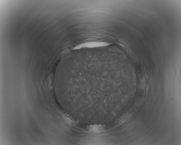 X0000066930273200604071854