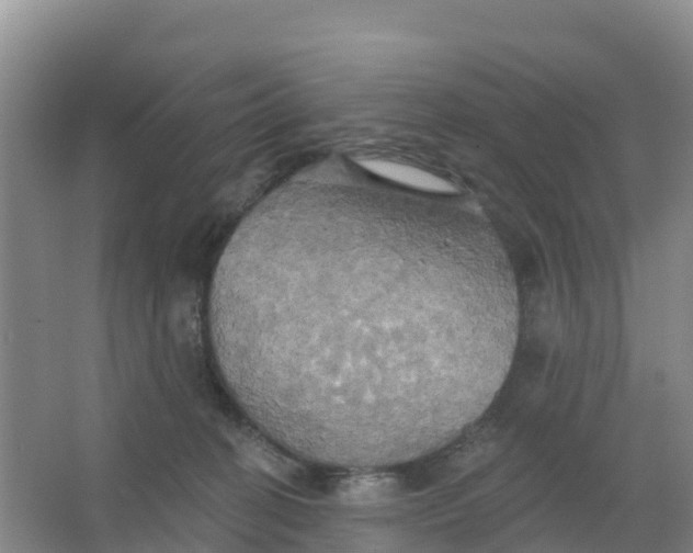 X0000066930274200604071854