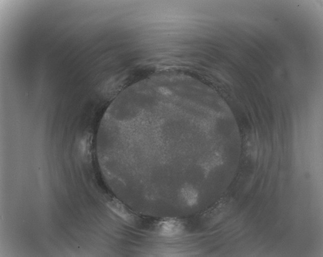 X0000066930275200604071854