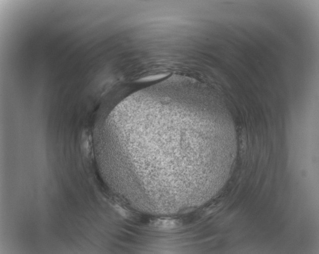 X0000066930276200604071854