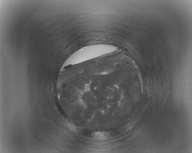 X0000066930277200604071854