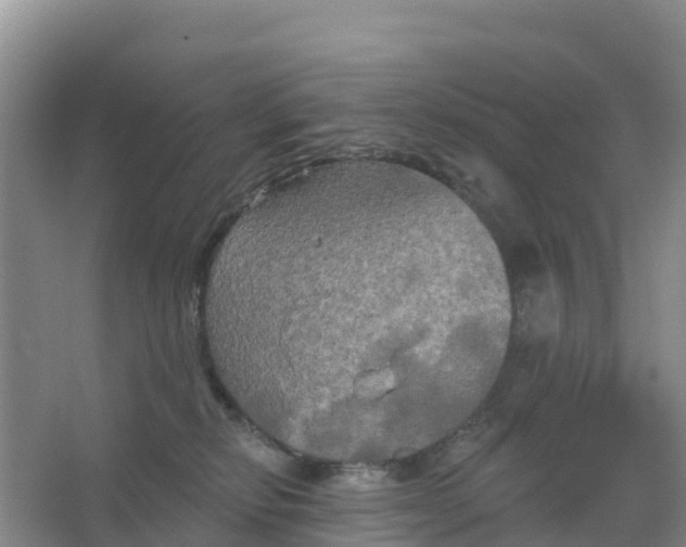 X0000066930278200604071854