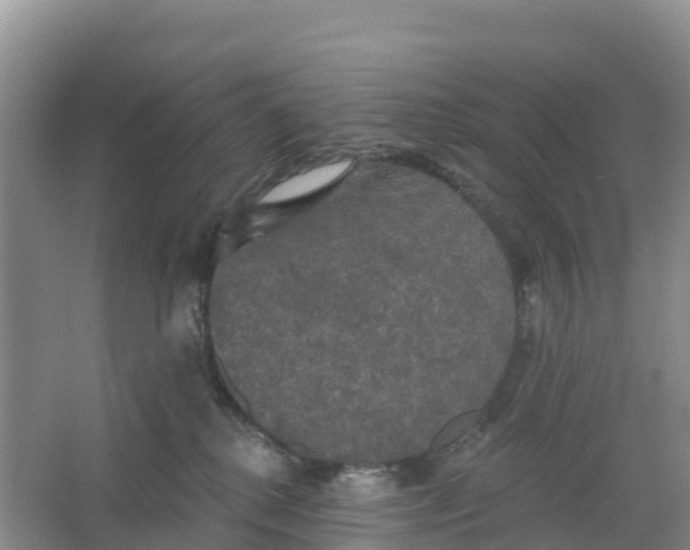 X0000066930280200604071854