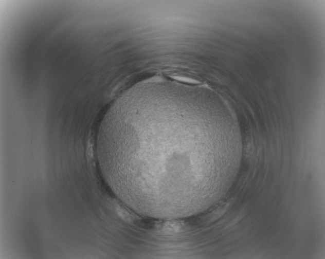 X0000066930282200604071854