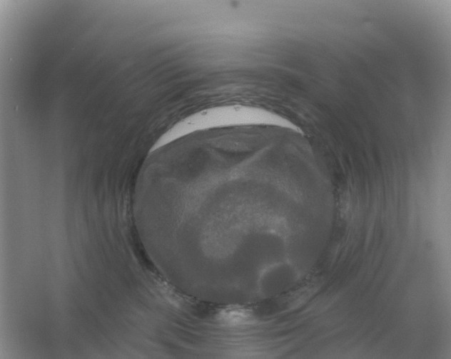 X0000066930283200604071854