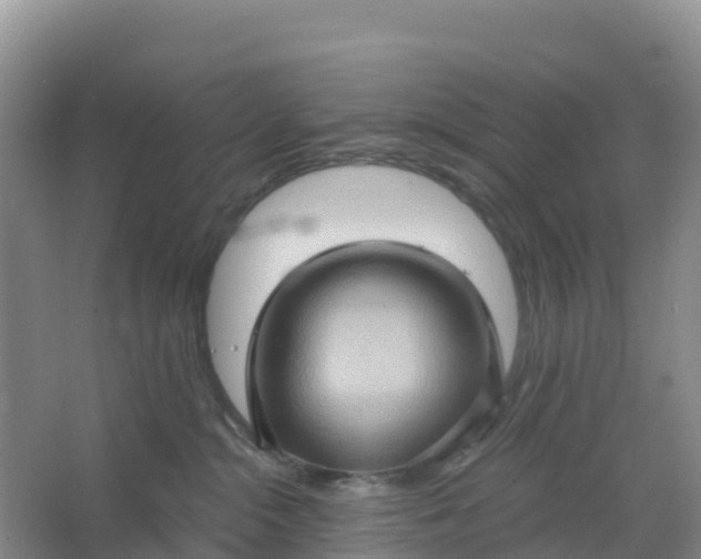 X0000066930284200604071854