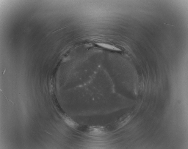 X0000066930285200604071854