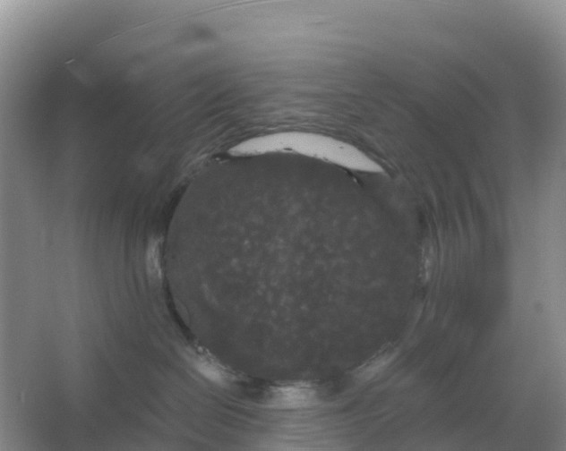 X0000066930286200604071854