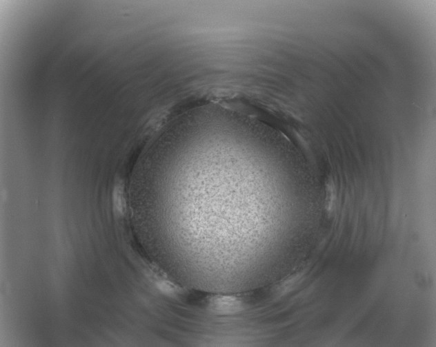 X0000066930287200604071854