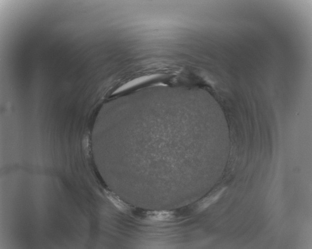 X0000066930288200604071854