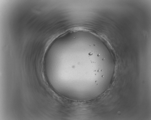 X0000066930289200604071853