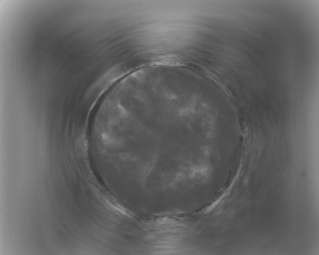 X0000066930290200604071853