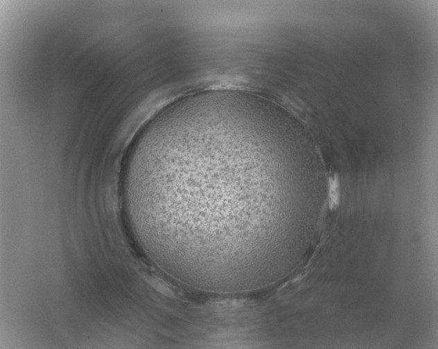 X0000066930291200604071853