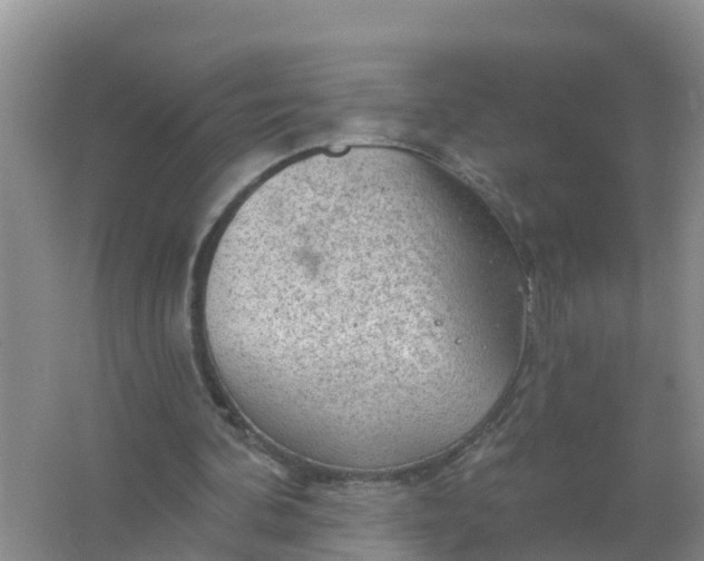 X0000066930292200604071853