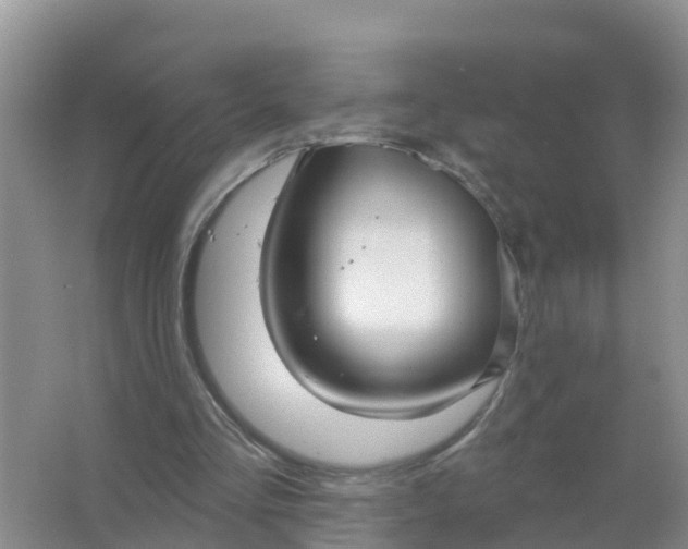 X0000066930293200604071853