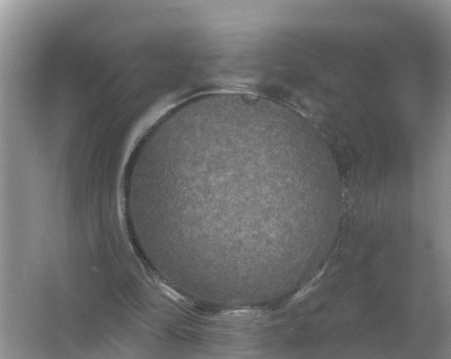 X0000066930294200604071853