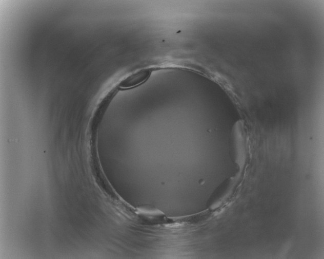 X0000066930295200604071853