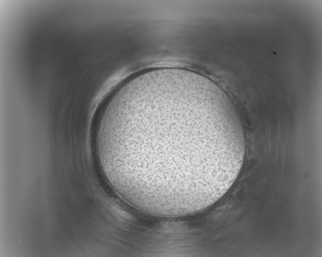 X0000066930296200604071853