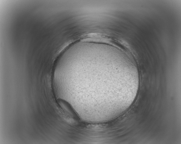 X0000066930297200604071853