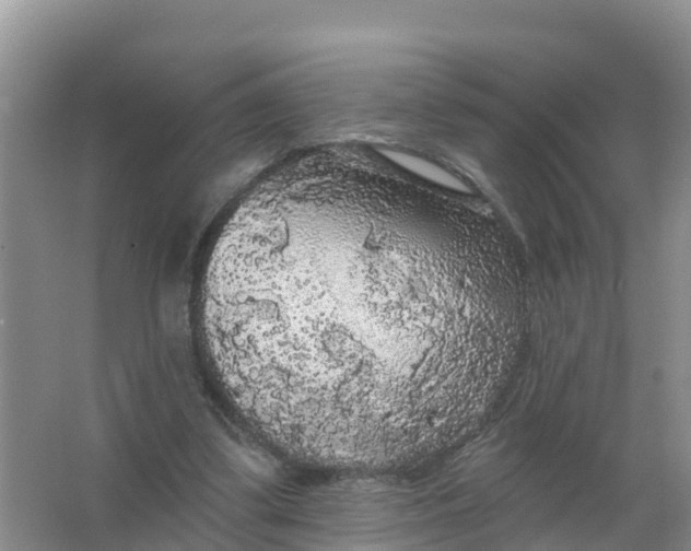 X0000066930299200604071853