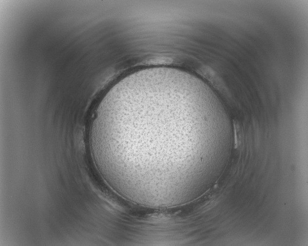 X0000066930300200604071853