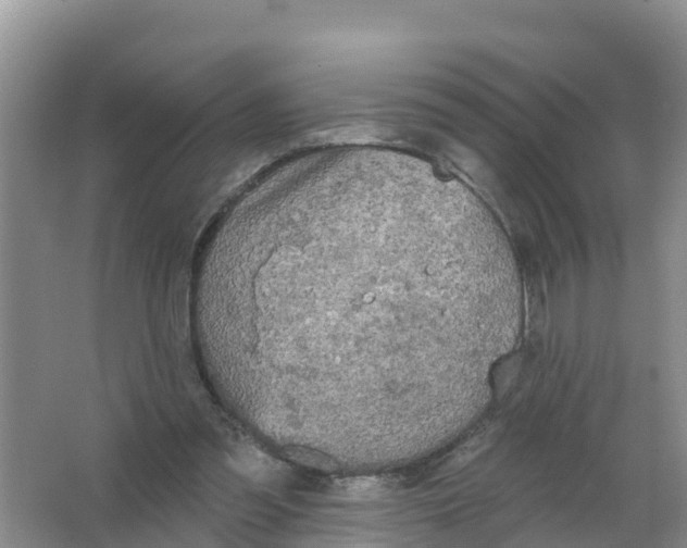 X0000066930301200604071853