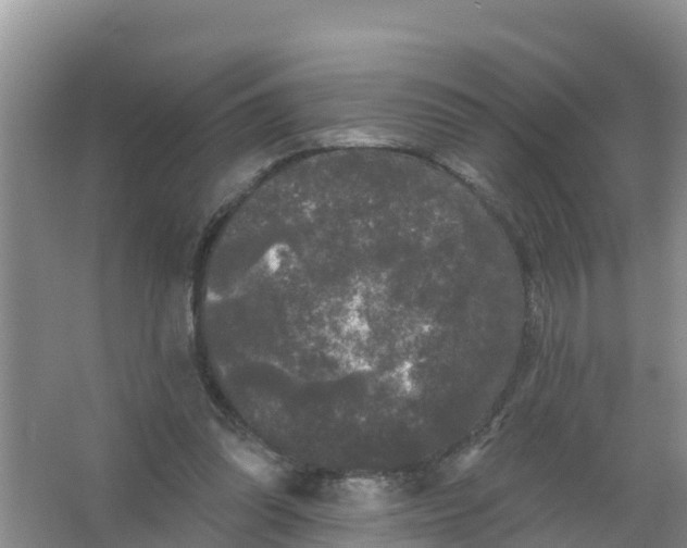 X0000066930302200604071853