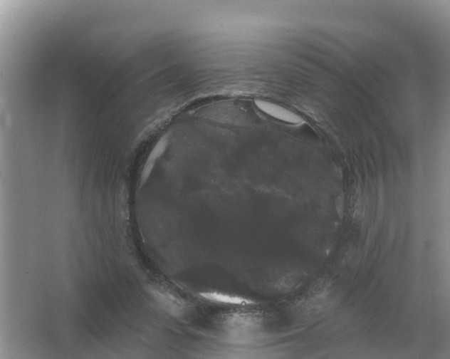 X0000066930303200604071853